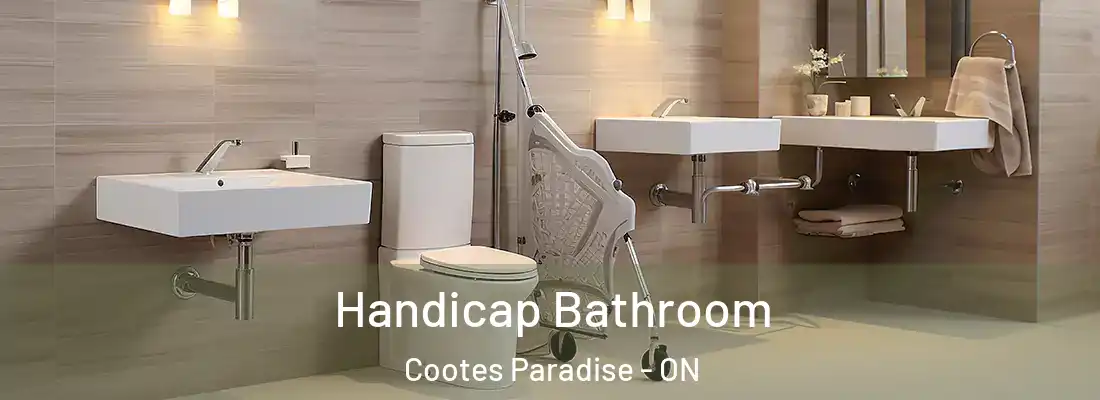 Handicap Bathroom Cootes Paradise - ON