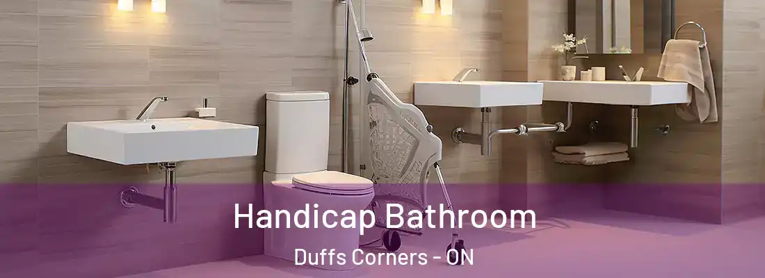  Handicap Bathroom Duffs Corners - ON