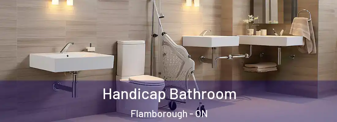  Handicap Bathroom Flamborough - ON