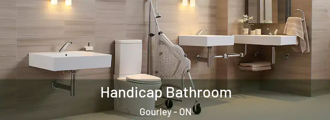  Handicap Bathroom Gourley - ON