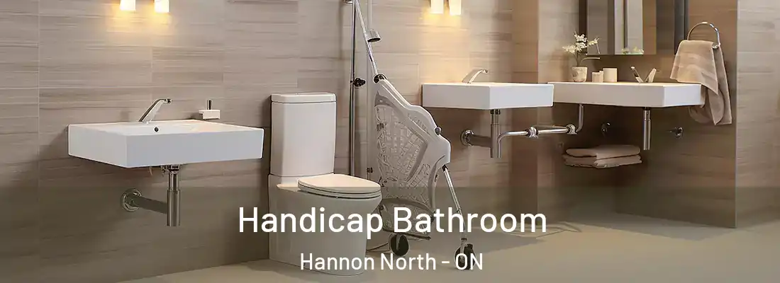  Handicap Bathroom Hannon North - ON