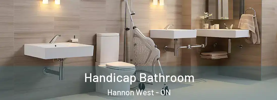  Handicap Bathroom Hannon West - ON