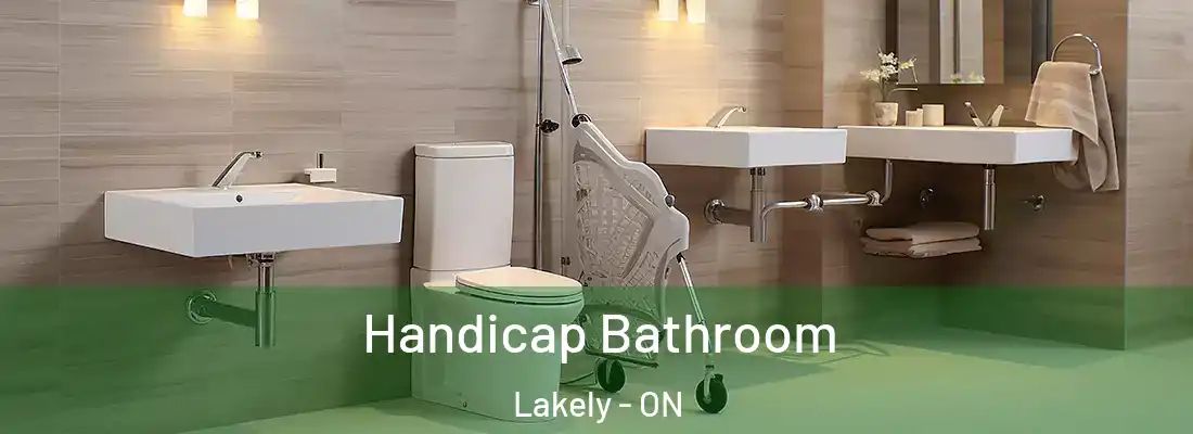  Handicap Bathroom Lakely - ON