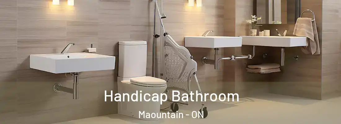  Handicap Bathroom Maountain - ON