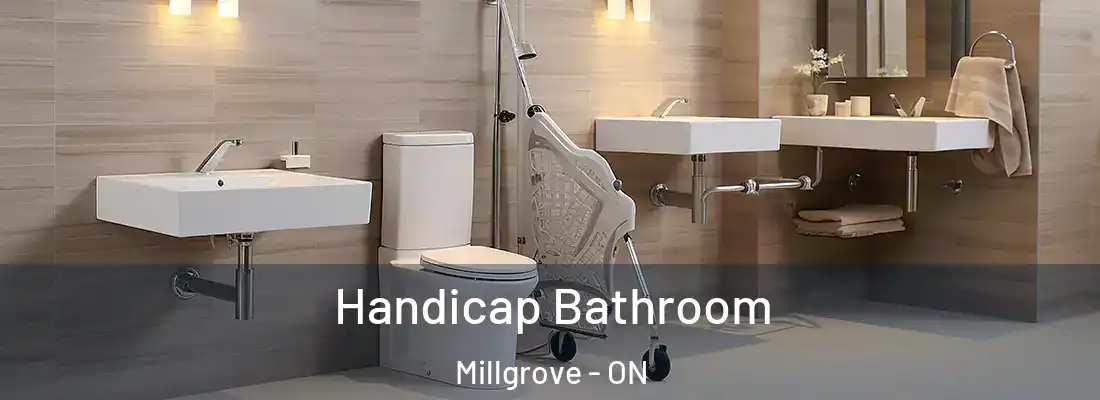  Handicap Bathroom Millgrove - ON