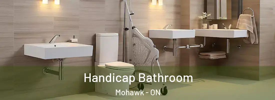  Handicap Bathroom Mohawk - ON
