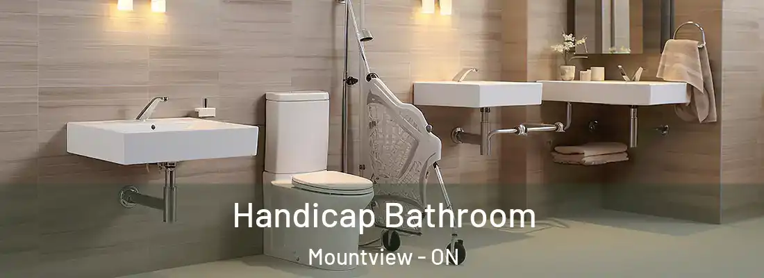  Handicap Bathroom Mountview - ON