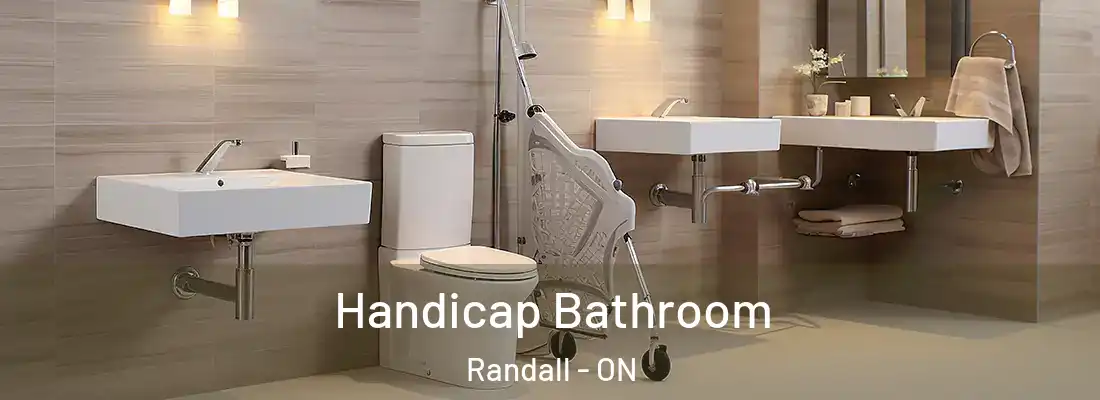  Handicap Bathroom Randall - ON