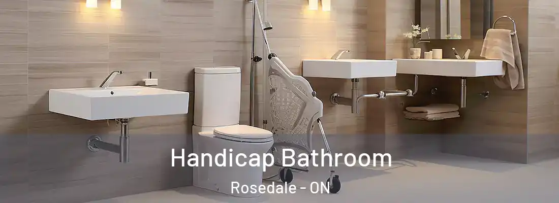  Handicap Bathroom Rosedale - ON