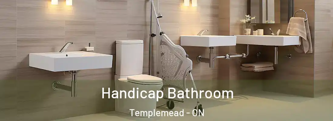  Handicap Bathroom Templemead - ON