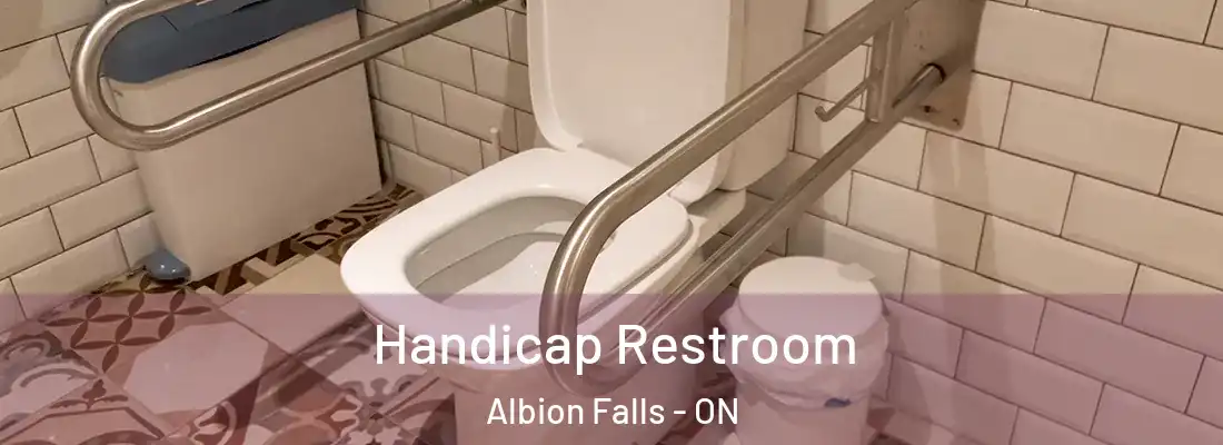  Handicap Restroom Albion Falls - ON