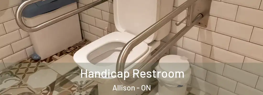  Handicap Restroom Allison - ON