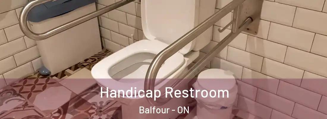  Handicap Restroom Balfour - ON