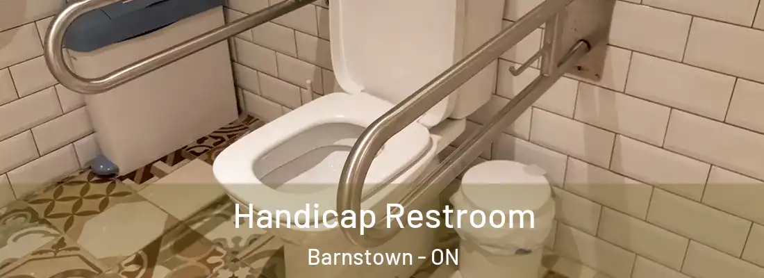  Handicap Restroom Barnstown - ON