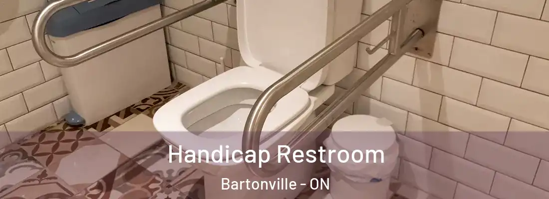  Handicap Restroom Bartonville - ON