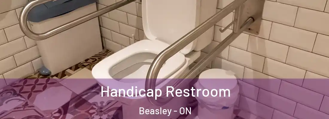  Handicap Restroom Beasley - ON