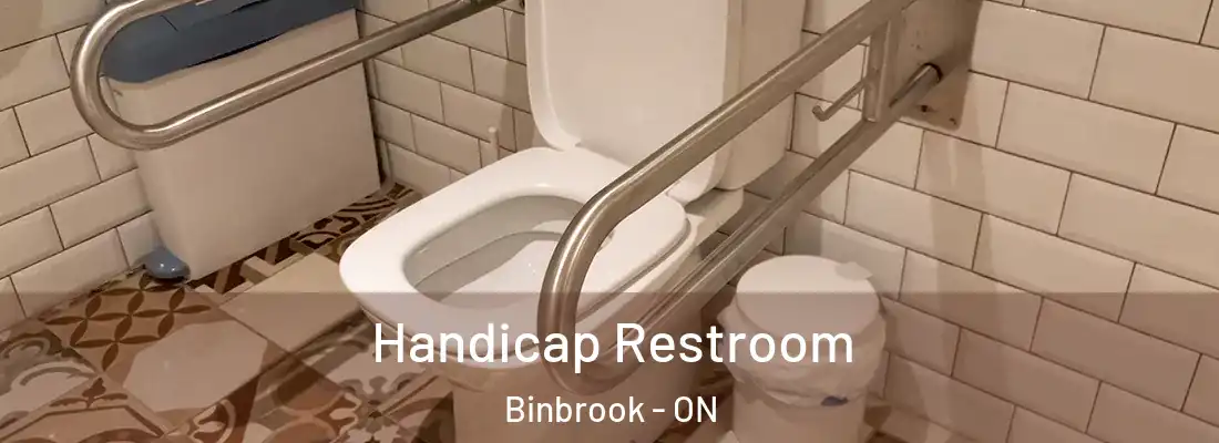  Handicap Restroom Binbrook - ON