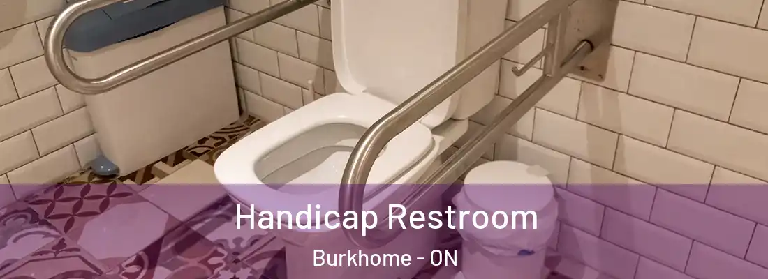  Handicap Restroom Burkhome - ON