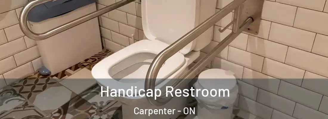  Handicap Restroom Carpenter - ON