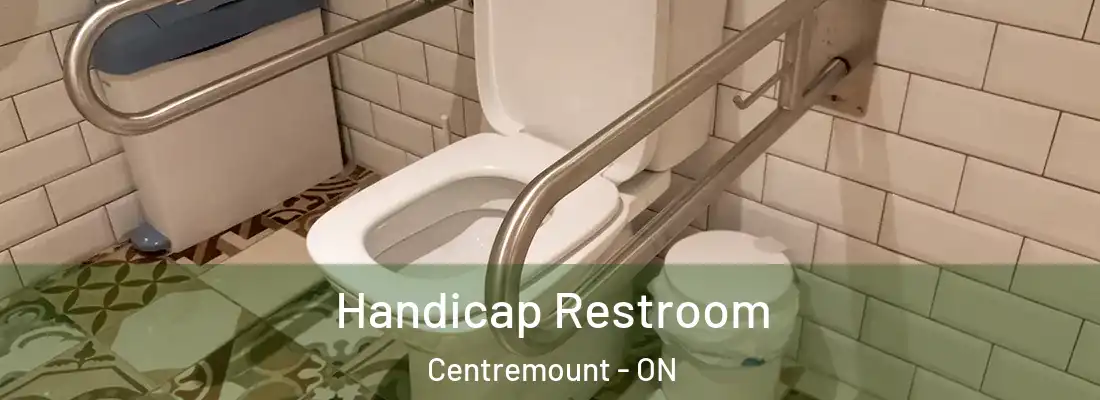  Handicap Restroom Centremount - ON