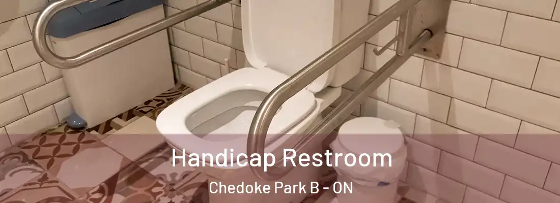  Handicap Restroom Chedoke Park B - ON