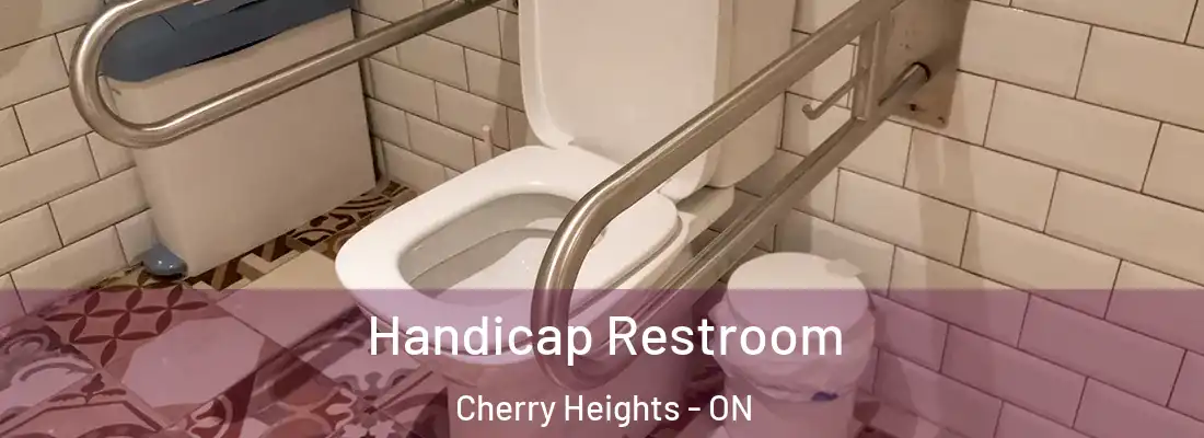  Handicap Restroom Cherry Heights - ON