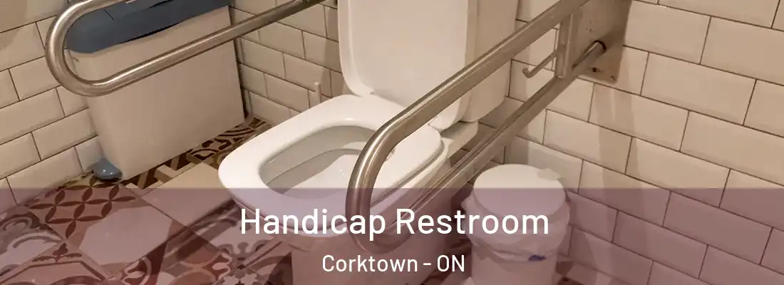 Handicap Restroom Corktown - ON
