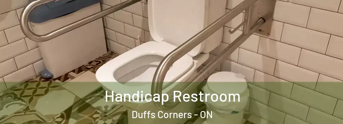 Handicap Restroom Duffs Corners - ON