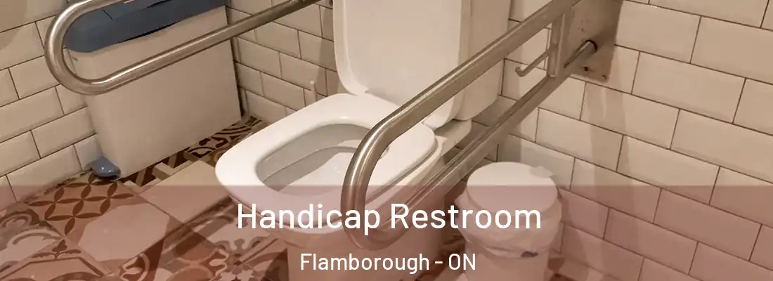  Handicap Restroom Flamborough - ON