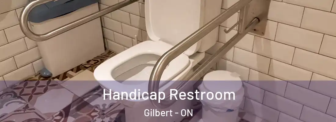  Handicap Restroom Gilbert - ON