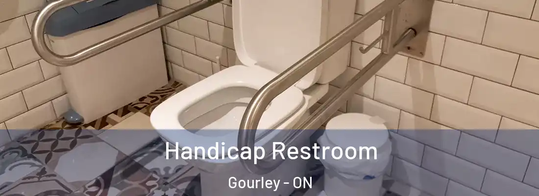  Handicap Restroom Gourley - ON