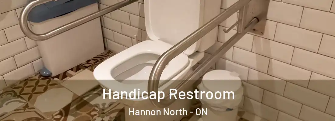  Handicap Restroom Hannon North - ON