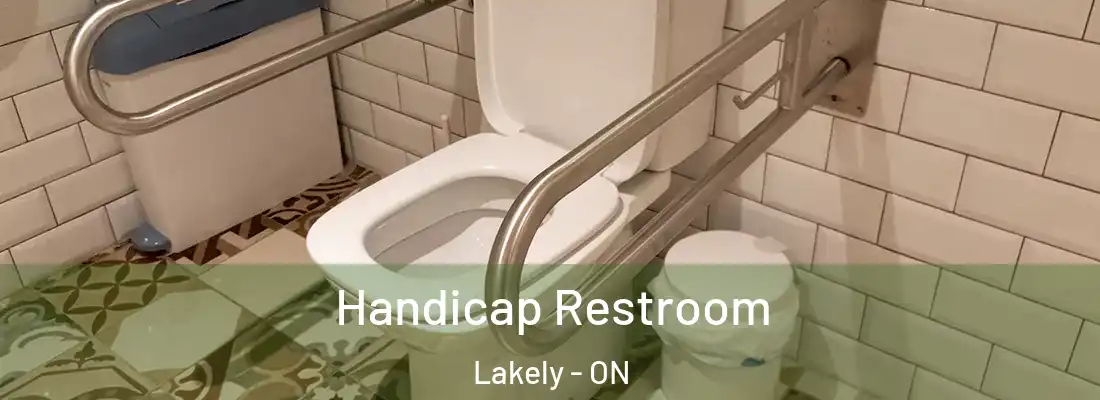  Handicap Restroom Lakely - ON