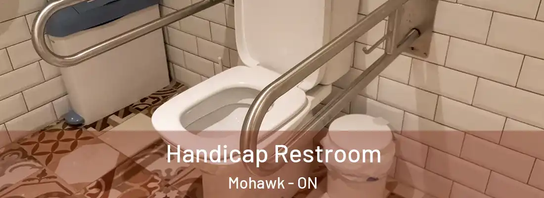  Handicap Restroom Mohawk - ON