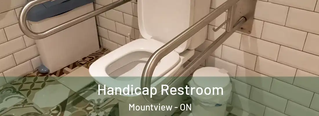  Handicap Restroom Mountview - ON