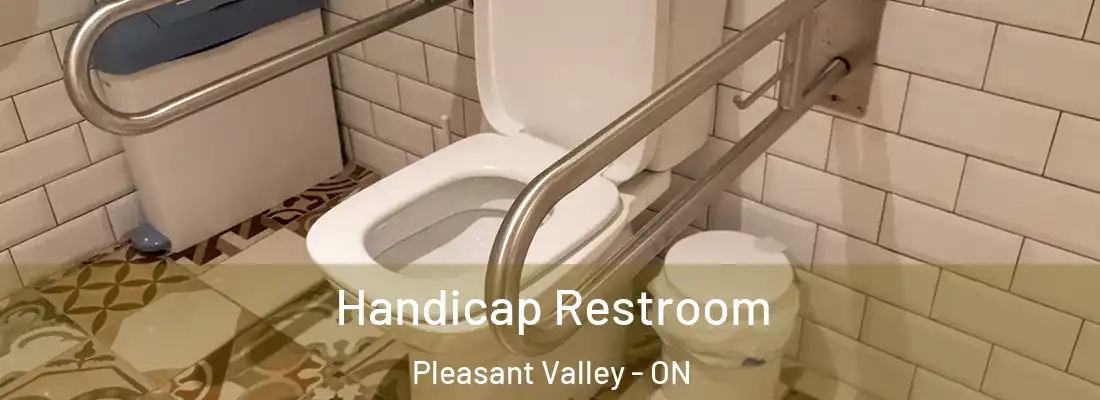  Handicap Restroom Pleasant Valley - ON