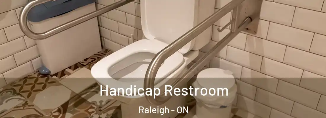  Handicap Restroom Raleigh - ON