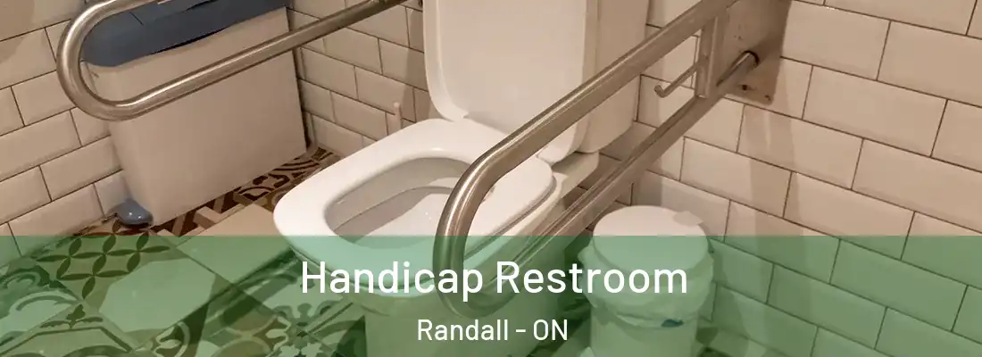  Handicap Restroom Randall - ON