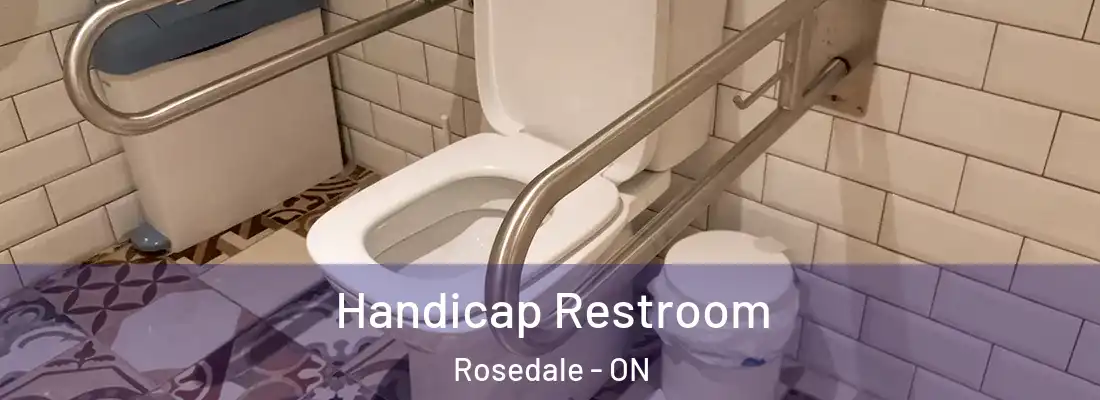  Handicap Restroom Rosedale - ON