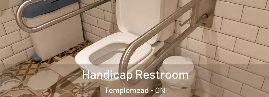  Handicap Restroom Templemead - ON