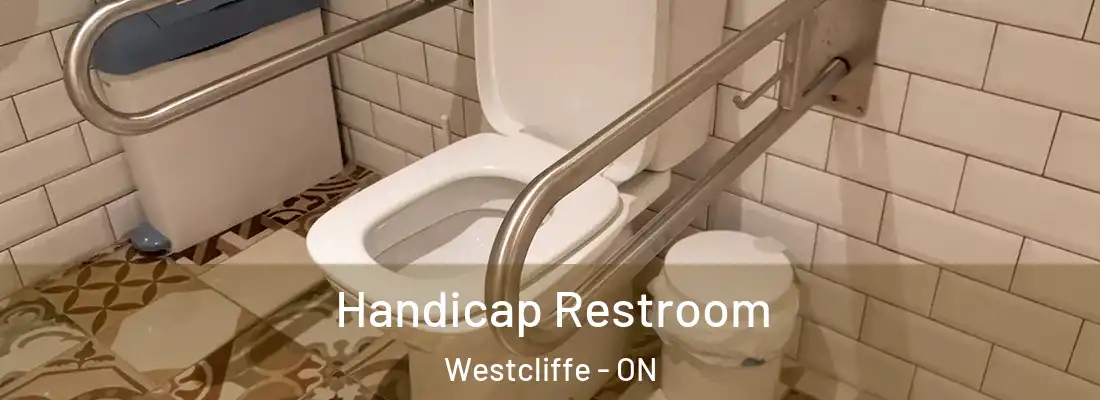  Handicap Restroom Westcliffe - ON