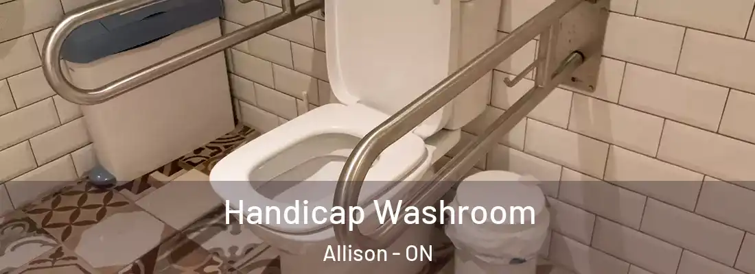  Handicap Washroom Allison - ON