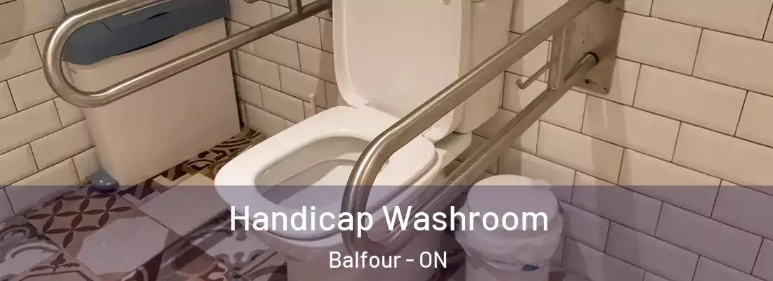  Handicap Washroom Balfour - ON