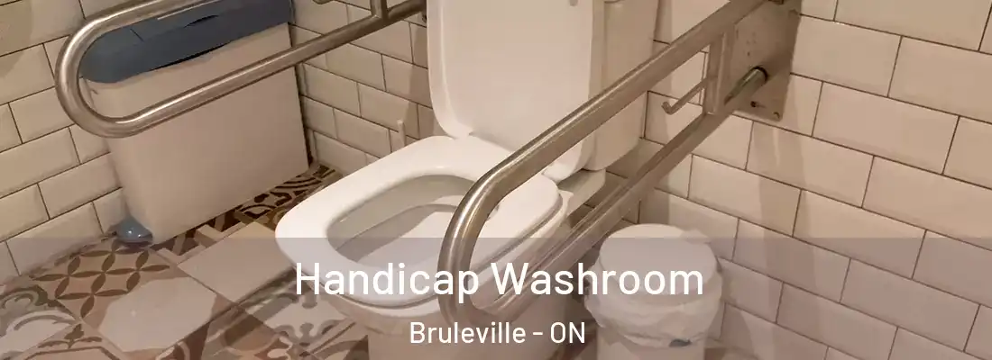  Handicap Washroom Bruleville - ON