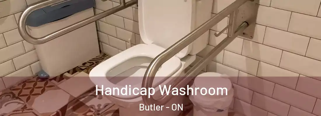  Handicap Washroom Butler - ON