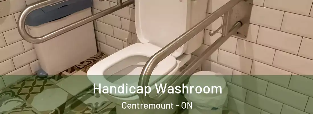  Handicap Washroom Centremount - ON