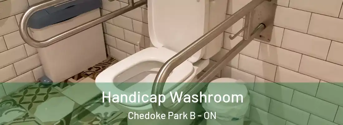  Handicap Washroom Chedoke Park B - ON