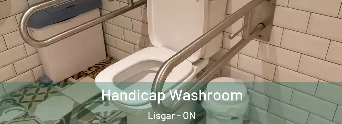  Handicap Washroom Lisgar - ON