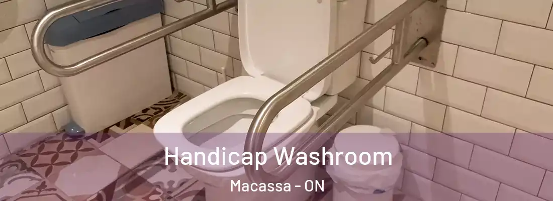  Handicap Washroom Macassa - ON