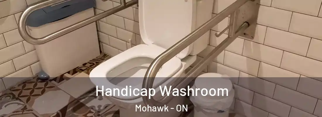  Handicap Washroom Mohawk - ON
